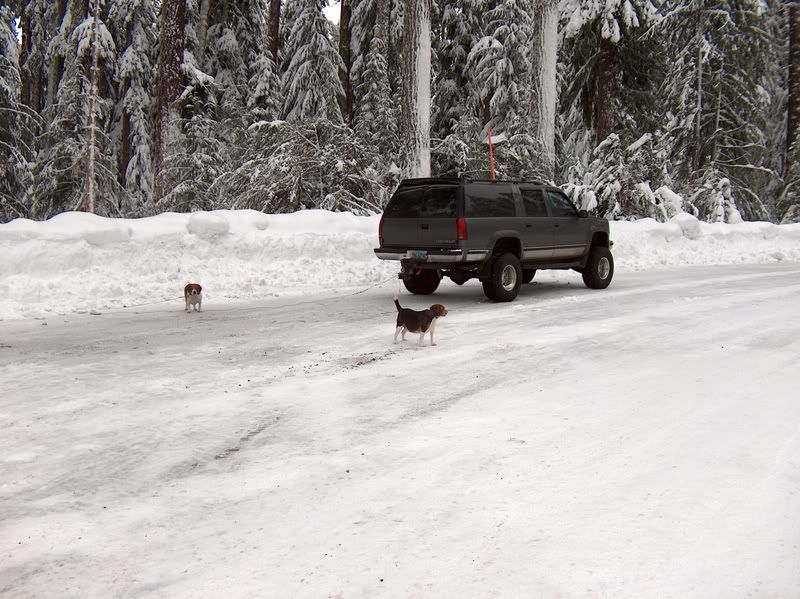January in Pa. this is my driveway | Team Camaro Tech